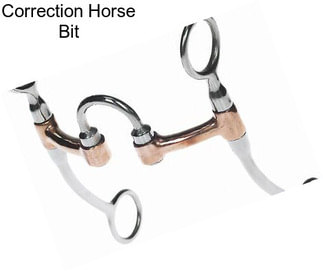 Correction Horse Bit