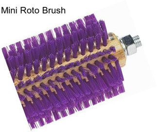 Mini Roto Brush