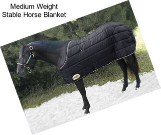 Medium Weight Stable Horse Blanket