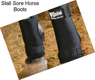 Stall Sore Horse Boots