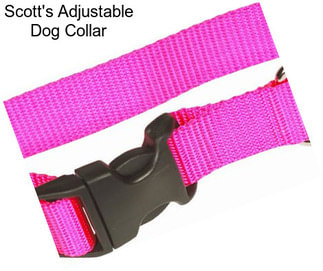 Scott\'s Adjustable Dog Collar