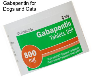 Gabapentin for Dogs and Cats