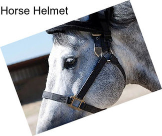 Horse Helmet