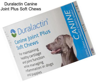 Duralactin Canine Joint Plus Soft Chews