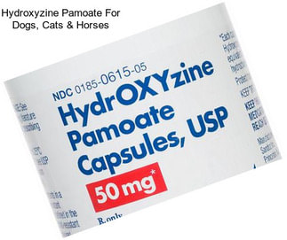 Hydroxyzine Pamoate For Dogs, Cats & Horses