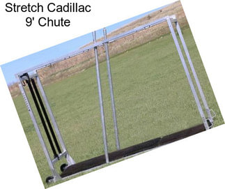 Stretch Cadillac 9\' Chute