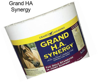 Grand HA Synergy