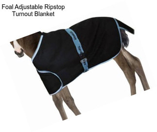 Foal Adjustable Ripstop Turnout Blanket