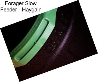 Forager Slow Feeder - Haygain