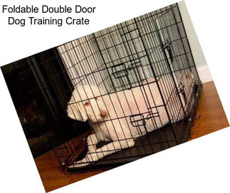 Foldable Double Door Dog Training Crate