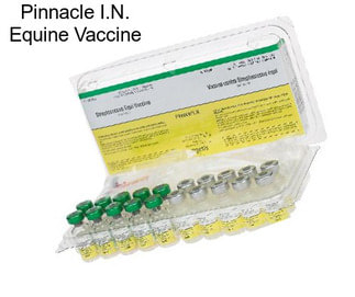 Pinnacle I.N. Equine Vaccine