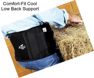 Comfort-Fit Cool Low Back Support