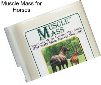 Muscle Mass for Horses