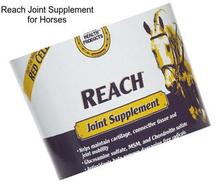 Reach Joint Supplement for Horses