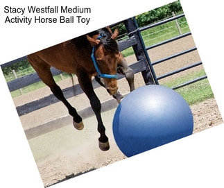 Stacy Westfall Medium Activity Horse Ball Toy