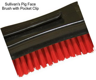 Sullivan\'s Pig Face Brush with Pocket Clip