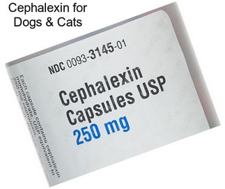 Cephalexin for Dogs & Cats