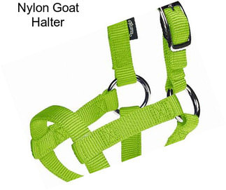 Nylon Goat Halter