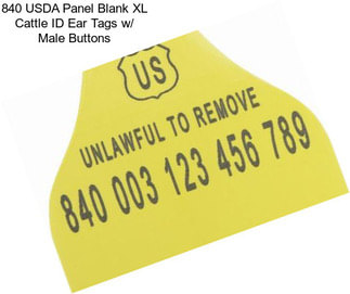 840 USDA Panel Blank XL Cattle ID Ear Tags w/ Male Buttons