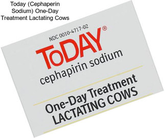 Today (Cephaperin Sodium) One-Day Treatment Lactating Cows