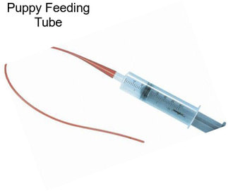 Puppy Feeding Tube