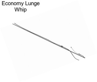 Economy Lunge Whip