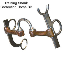 Training Shank Correction Horse Bit