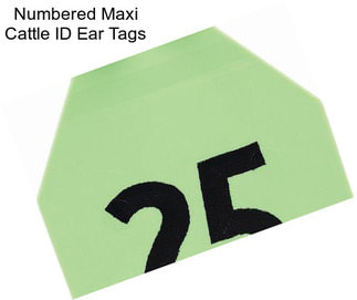 Numbered Maxi Cattle ID Ear Tags