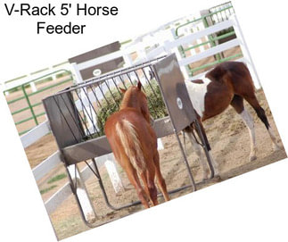 V-Rack 5\' Horse Feeder