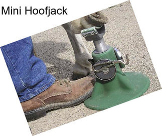 Mini Hoofjack