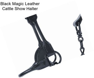 Black Magic Leather Cattle Show Halter