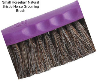 Small Horsehair Natural Bristle Horse Grooming Brush