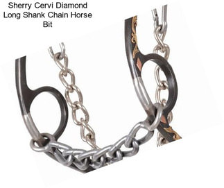 Sherry Cervi Diamond Long Shank Chain Horse Bit