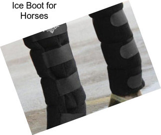 Ice Boot for Horses