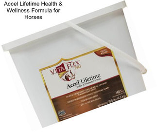 Accel Lifetime Health & Wellness Formula for Horses