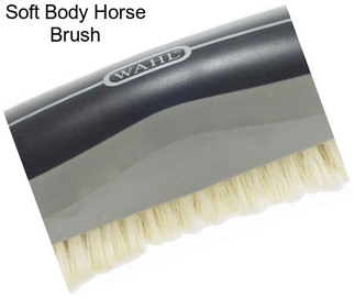 Soft Body Horse Brush