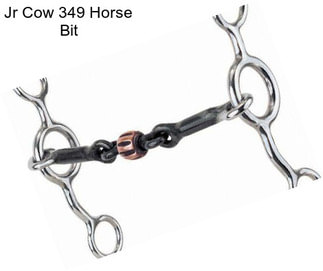 Jr Cow 349 Horse Bit