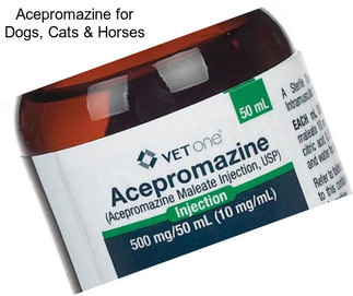 Acepromazine for Dogs, Cats & Horses