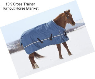 10K Cross Trainer Turnout Horse Blanket