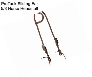 ProTack Sliding Ear 5/8\