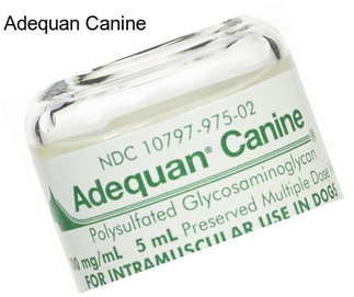 Adequan Canine