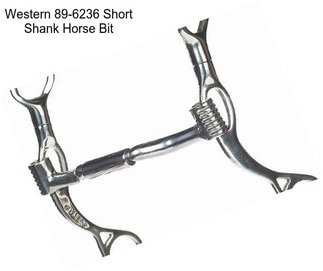 Western 89-6236 Short Shank Horse Bit