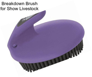 Breakdown Brush for Show Livestock