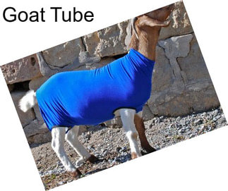 Goat Tube