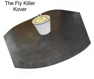 The Fly Killer Kover