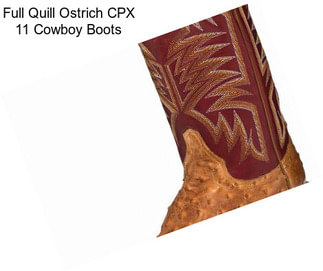 Full Quill Ostrich CPX 11\