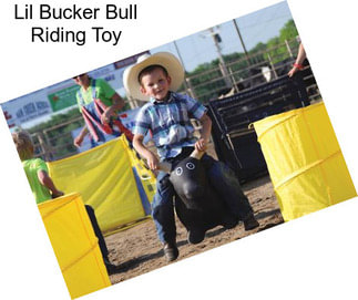Lil Bucker Bull Riding Toy