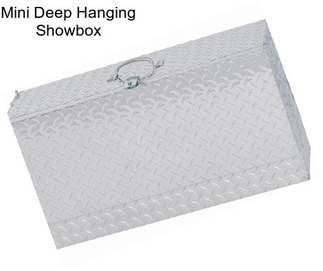 Mini Deep Hanging Showbox