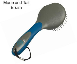 Mane and Tail Brush