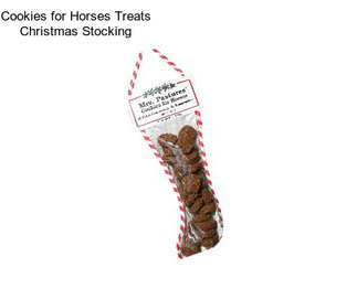 Cookies for Horses Treats Christmas Stocking